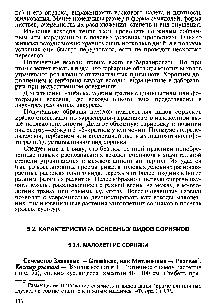 Полученные всходы проще всего гербаризировать. Но при этом следует иметь в виду, что гербарные образцы многих всходов утрачивают ряд важных отличительных признаков. Хорошим дополнением к гербарию служат всходы, выращенные в лаборатории при искусственном освещении.