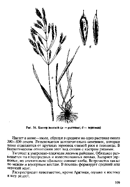 Распространен повсеместно, кроме Арктики, однако к востоку и югу редеет.