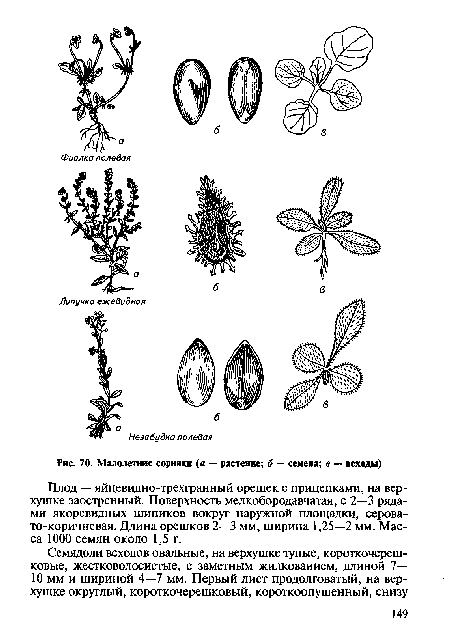 Малолетние сорняки (а — растение; б — семена; в — всходы)