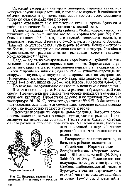 Погремок весенний (а — растение; б — семена; в - всходы)