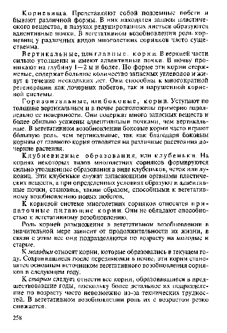 К корневой системе многолетних сорняков относятся придаточные питающие корни. Они не обладают способностью к вегетативному возобновлению.