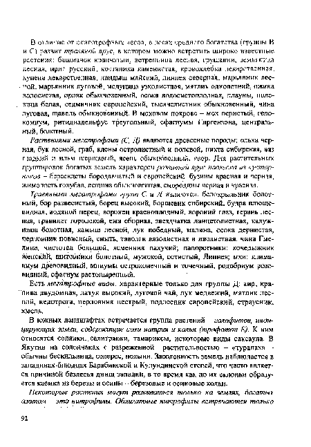 Растениями мегатрофами (С, Д) являются древесные породы: ольха черная, бук лесной, граб, клены остролистный и полевой, пихта сибирская, вяз гладкий и ильм шершавый, ясень обыкновенный, явор. Для растительных группировок богатых земель характерен развитый ярус поолеска из кустарников - бсресклегы бородавчатый и европейский, бузины красная и черная, жимолость голубая, лещина обыкновенная, смородины черная и красная.