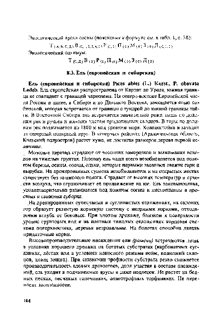 Молодые деревца страдают от весенних заморозков и выжимания всходов на тяжелых грунтах. Поэтому ель чаще всего возобновляется под пологом березы, осины, сосны, ольхи, которые первыми заселяют свежие гари и вырубки. На дренированных супесях возобновляется и на открытых местах существует без защитного полога. Страдает от высоких температур и сухости воздуха, что ограничивает ее продвижение на юг. Ель теневынослива, удовлетворительно развивается под пологом сосны и лиственницы в простых и сложных суборях.