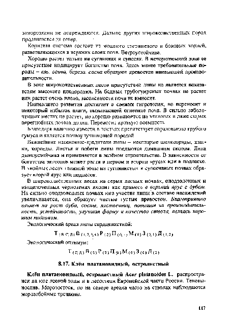 Хорошо растет только на суглинках и супесях. В нечерноземной зоне ее присутствие индицирует богатство почв. Здесь менее требовательные породы - ель, осина, береза, сосна образуют древостой наивысшей производительности.