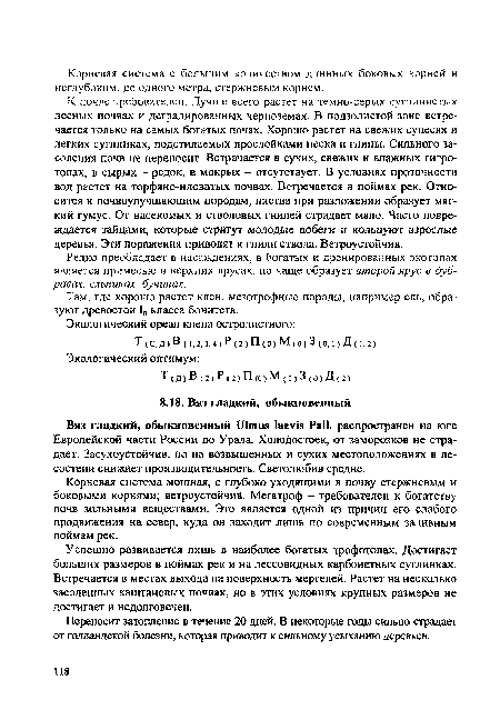 К почве требователен. Лучше всего растет на темно-серых суглинистых лесных почвах и деградированных черноземах. В подзолистой зоне встречается только на самых богатых почах. Хорошо растет на свежих супесях и легких суглинках, подстилаемых прослойками песка и глины. Сильного засоления почв не переносит. Встречается в сухих, свежих и влажных гигро-топах, в сырых - редок, в мокрых - отсутствует. В условиях проточности вод растет на торфяно-иловатых почвах. Встречается в поймах рек. Относится к почвоулучшающим породам, листва при разложении образует мягкий гумус. От насекомых и стволовых гнилей страдает мало. Часто повреждается зайцами, которые стригут молодые побеги и кольцуют взрослые деревья. Эти поражения приводят к гнили ствола. Ветроустойчив.