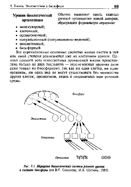 Иерархия биологических систем разного уровня в составе биосферы (по В.Е. Соколову, И.А. Шилову, 1989)
