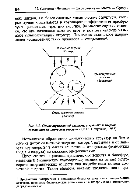 Схема трехзвенной системы с протоком энергии, создающим круговороты вещества (Н.С. Печуркин, 1988)