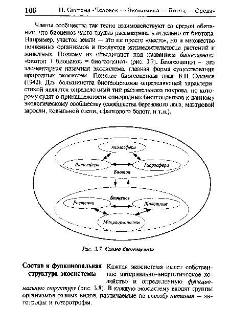 Состав и функциональная Каждая экосистема имеет собствен-структура экосистемы ное материально-энергетическое хозяйство и определенную функциональную структуру (рис. 3.8). В каждую экосистему входят группы организмов разных видов, различаемые по способу питания — ав-тотрофы и гетеротрофы.