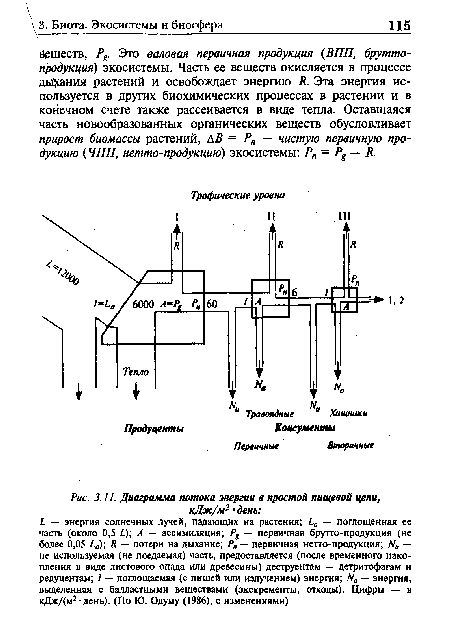 Диаграмма потока энергии в простой пищевой цепи, кДж/м2 • день
