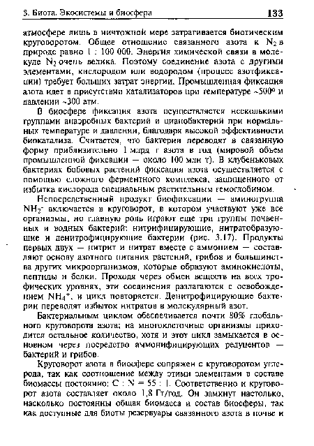 Бактериальным циклом обеспечивается почти 80% глобального круговорота азота; на многоклеточные организмы приходится остальное количество, хотя и этот цикл замыкается в основном через посредство аммонифицирующих редуцентов — бактерий и грибов.