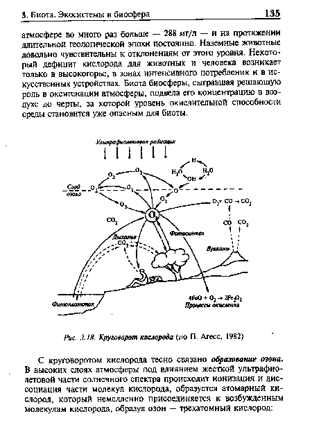 Круговорот кислорода (по П. Агесс, 1982)