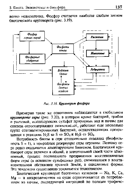 Круговорот фосфора