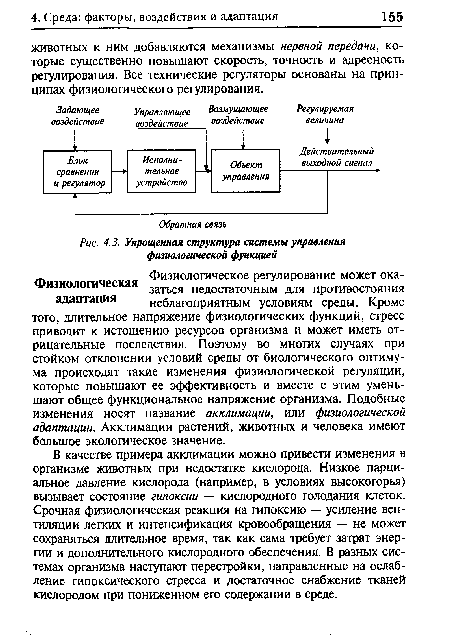 Упрощенная структура системы управления физиологической функцией