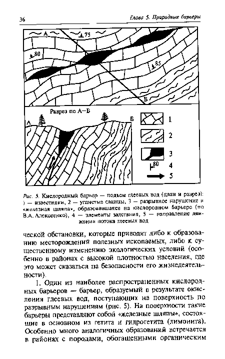 Кислородный барьер — подъем глеевых вод (план и разрез)