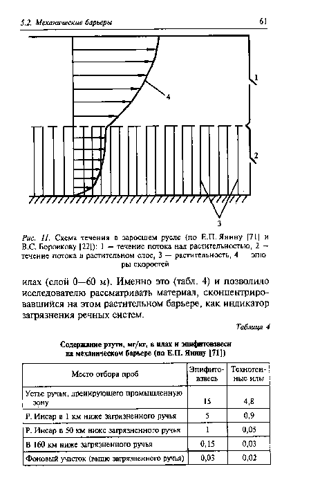 Схема течения в заросшем русле (по Е.П. Янину [71] и B.C. Боровкову [22])