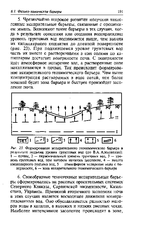 Формирование испарительного геохимического барьера в результате подъема уровня грунтовых вод (по В.А. Алексеенко)