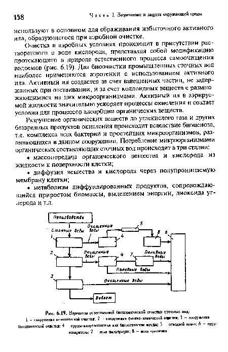 Варианты естественной биохимической очистки сточных вод