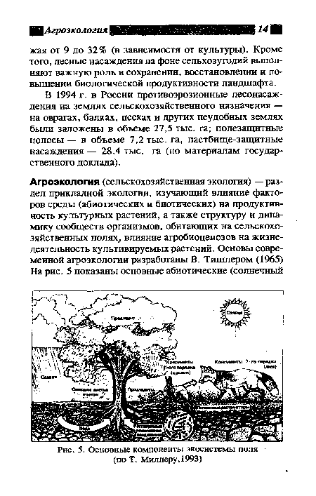 Основные компоненты экосистемы поля (по Т. Миллеру, 1993)