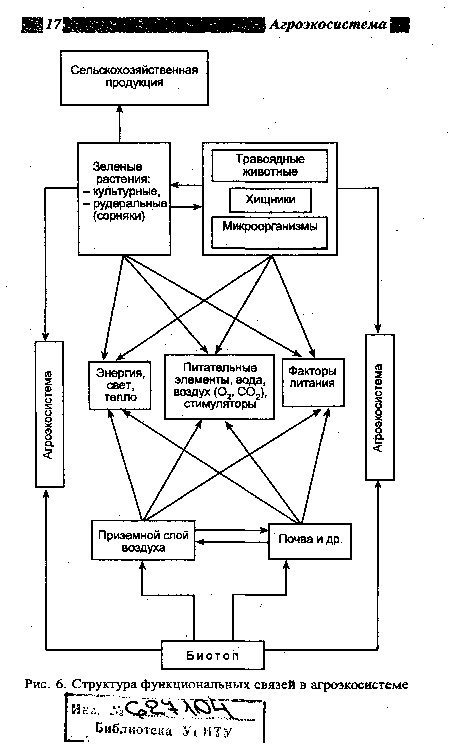 Структура функциональных связей в агроэкосистеме