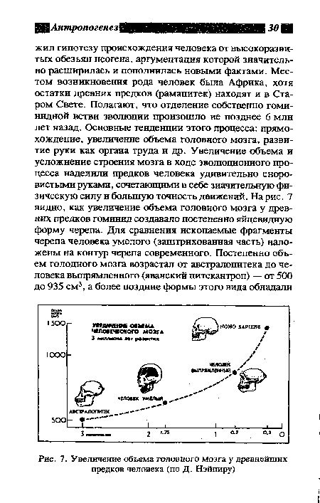 Увеличение объема головного мозга у древнейших предков человека (по Д. Нэйпиру)