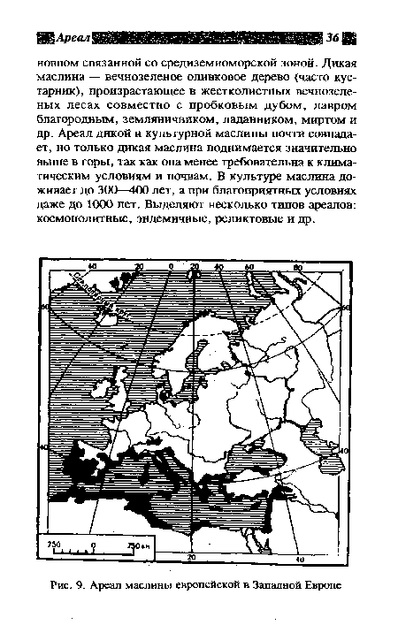 Ареал маслины европейской в Западной Европе