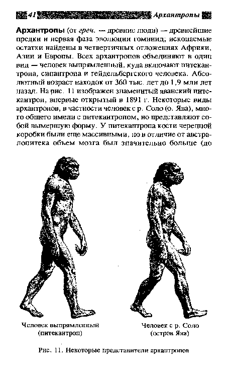 Некоторые представители архантропов