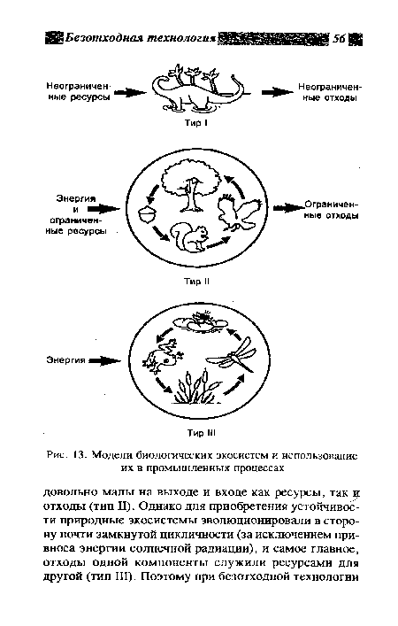 Модели биологических экосистем и использование их в промышленных процессах
