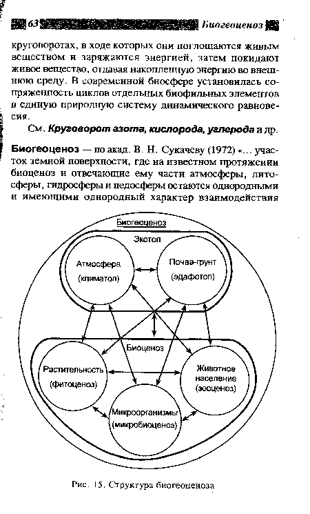 Структура биогеоценоза