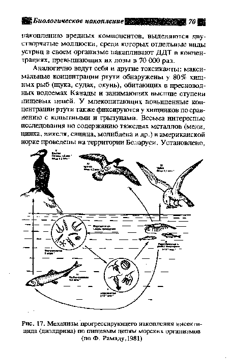 Механизм прогрессирующего накопления инсектицида (диэлдрина) по пищевым цепям морских организмов (по Ф. Рамаду,1981)