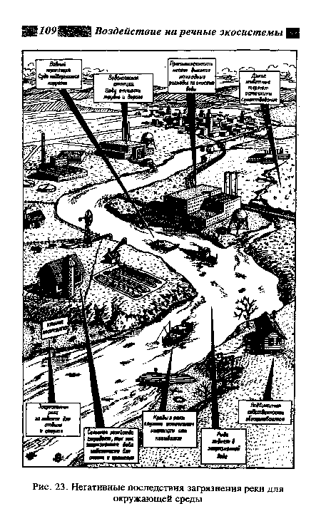Негативные последствия загрязнения реки для окружающей среды