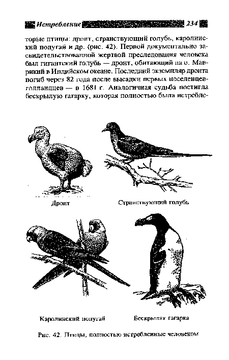 Птицы, полностью истребленные человеком