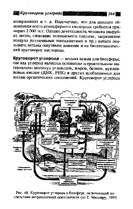 Антропогенный объект картинки