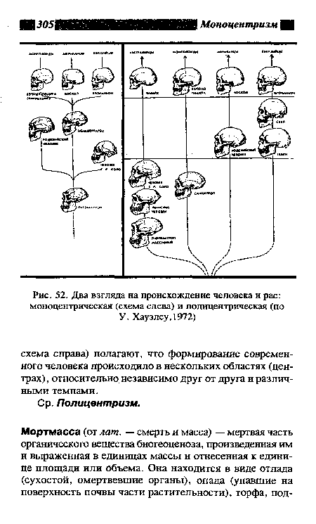 Два взгляда на происхождение человека и рас