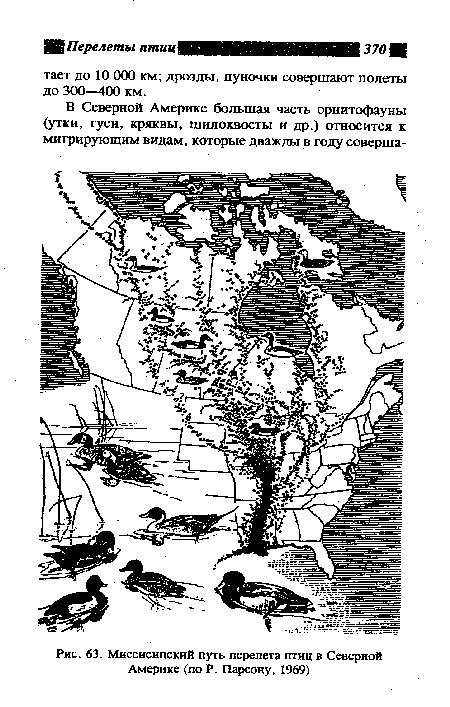 Миссисипский путь перелета птиц в Северной Америке (по Р. Парсону, 1969)