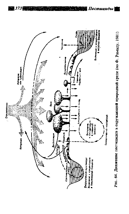 Движение пестицидов в окружающей природной среде (по Ф. Рам аду, 1981)