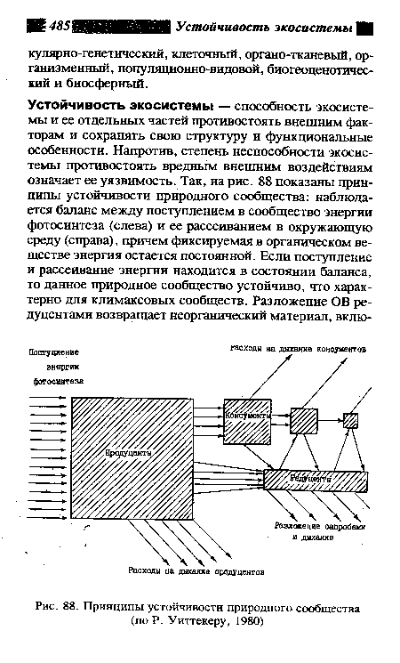 Принципы устойчивости природного сообщества (по Р. Уиттекеру, 1980)