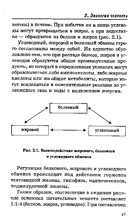 Взаимодействие жирового, белкового и углеводного обменов