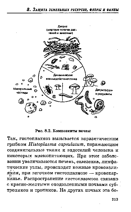 Компоненты почвы