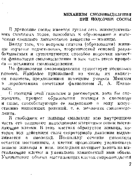 С позиций этой гипотезы и рассмотрим, хотя бы схематично, процесс образования живицы в смолоходе и силы, способствующие ее выделению в зону искусственно наносимых ранений, т. е. механизм смоловыделения.