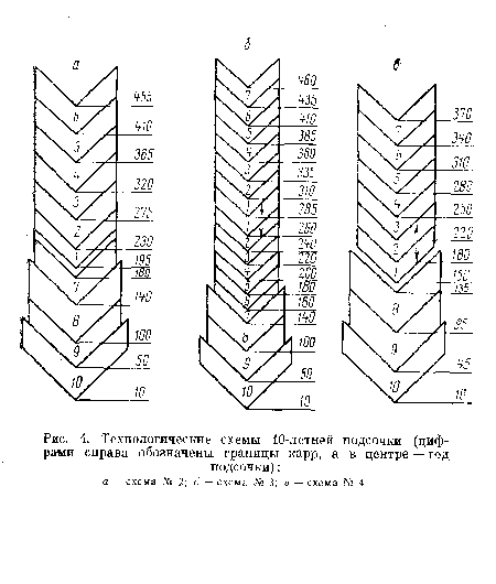 Технологические схемы 10-летней подсочки (цифрами справа обозначены границы карр, а в центре — год подсочки)