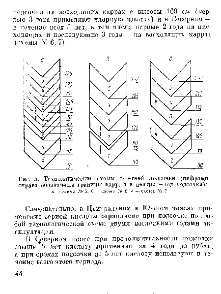 Технологические схемы 5-летней подсочки (цифрами справа обозначены границы карр, а в центре — год подсочки)