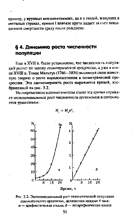 Экспоненциальный рост гипотетической популяции одноклеточного организма, делящегося каждые 4 часа