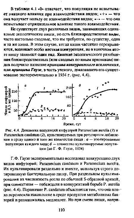 Не существует двух различных видов, занимающих одинаковые экологические ниши, но есть близкородственные виды, часто настолько сходные, что им требуется, по существу, одна и та же ниша. В этом случае, когда ниши частично перекрываются, возникает особо жесткая конкуренция, но в конечном итоге нишу занимает один вид. Явление экологического разобщения близкородственных (или сходных по иным признакам) видов получило название принципа конкурентного исключения, или принципа Гаузе, в честь ученого, доказавшего его существование экспериментально в 1934 г. (рис. 4.4).