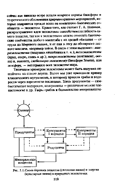 Схема переноса вещества (сплошная линия) и энергии (пунктирная линия) в природных экосистемах