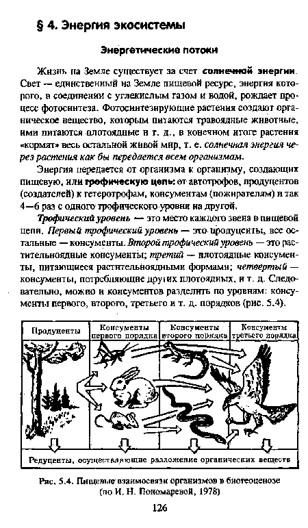 Пищевые взаимосвязи организмов в биогеоценозе (по И. Н. Пономаревой, 1978)