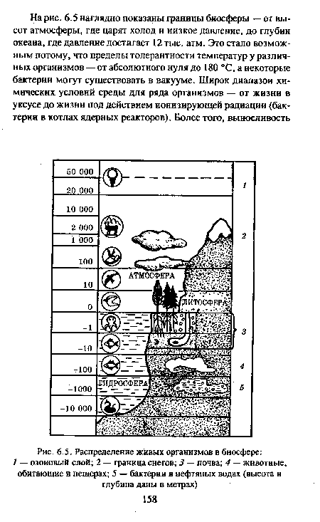 Распределение живых организмов в биосфере