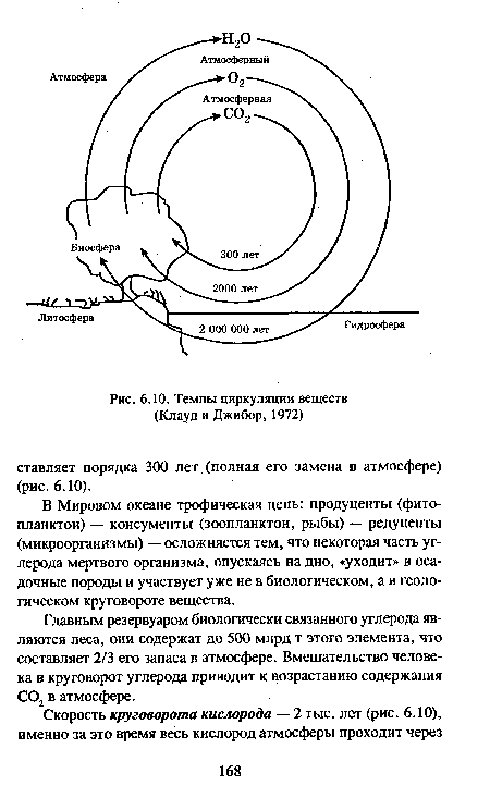 В Мировом океане трофическая цепь: продуценты (фитопланктон) — консументы (зоопланктон, рыбы) — редуценты (микроорганизмы) — осложняется тем, что некоторая часть углерода мертвого организма, опускаясь на дно, «уходит» в осадочные породы и участвует уже не в биологическом, а в геологическом круговороте вещества.