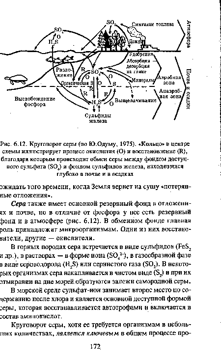 Круговорот серы (по Ю.Одуму, 1975). «Кольцо» в центре схемы иллюстрирует процесс окисления (О) и восстановление (Я), благодаря которым происходит обмен серы между фондом доступного сульфата (804) и фондом сульфидов железа, находящихся глубоко в почве и в осадках