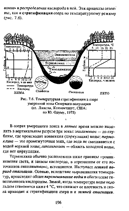 Температурная стратификация в озере умеренной зоны Северного полушария (оз. Линсли, Коннектикут, США; по Ю. Одуму, 1975)