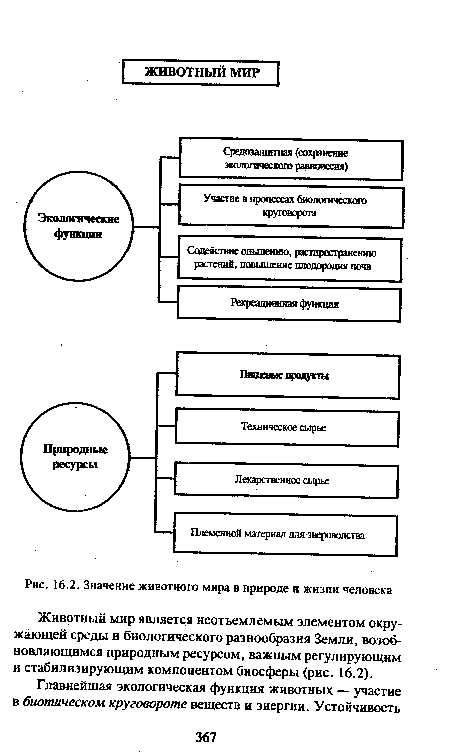 Животный мир является неотъемлемым элементом окружающей среды и биологического разнообразия Земли, возобновляющимся природным ресурсом, важным регулирующим и стабилизирующим компонентом биосферы (рис. 16.2).